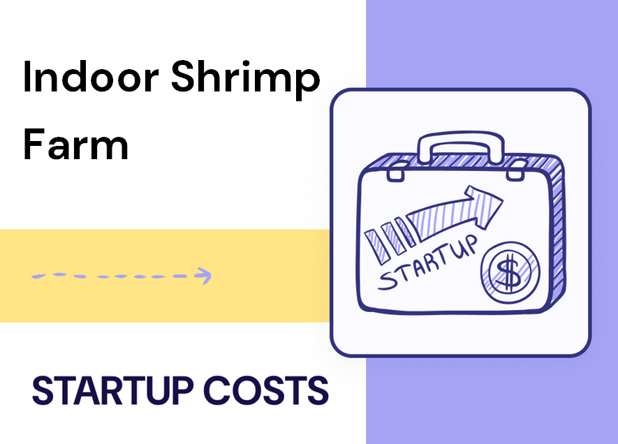How to Budget an Indoor Shrimp Farming Startup Step by Step
