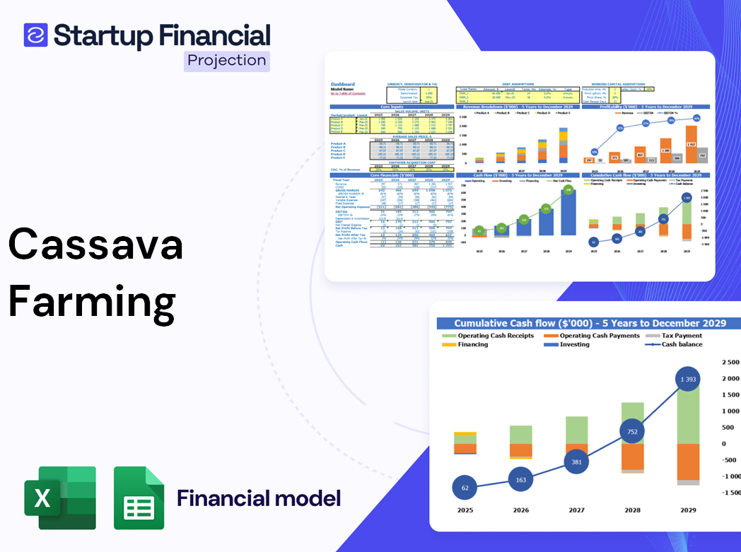 Cassava Farming Financial Model