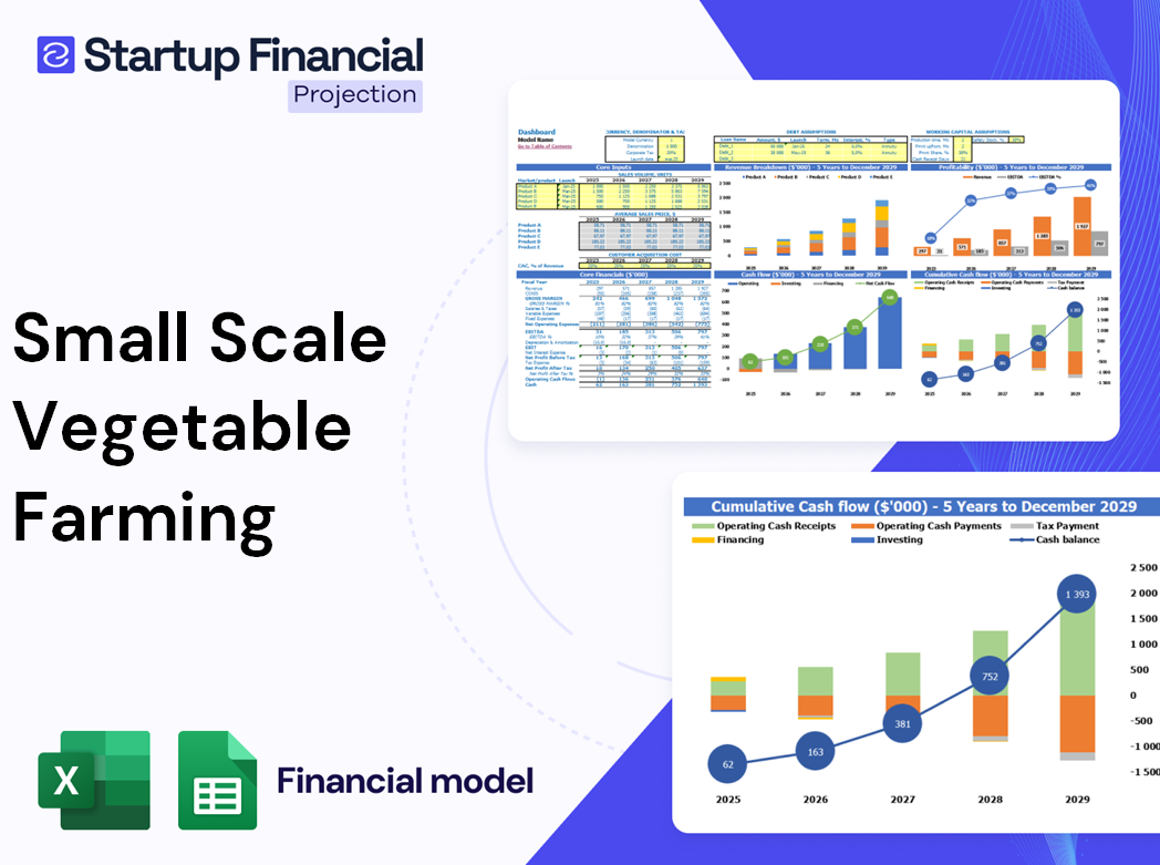 Small Scale Vegetable Farming Financial Model