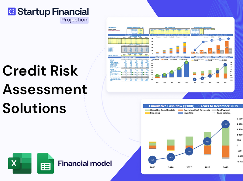 Credit Risk Assessment Financial Model Work for Startups