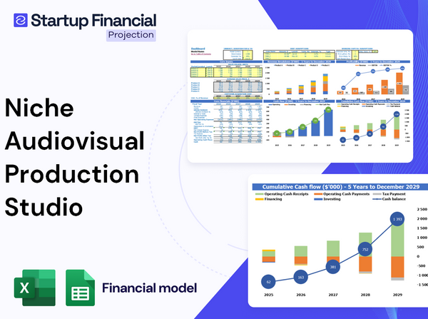 Niche Audiovisual Production Studio Financial Model