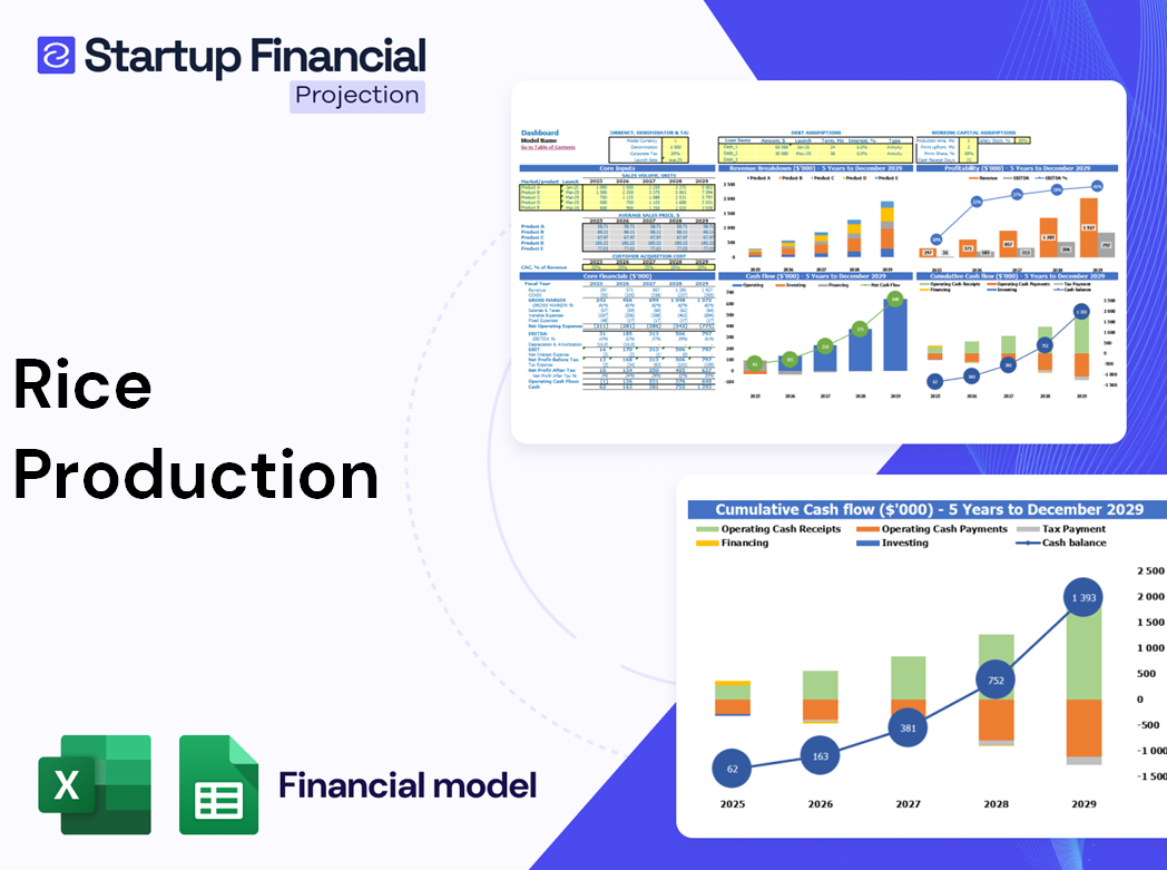 Rice Production Financial Model