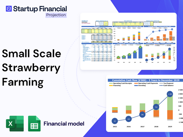 Small Scale Strawberry Farming Financial Model